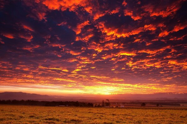 Landschaft mit Sonnenuntergang am Abend im Feld