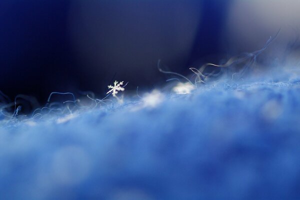 Disparo macro de copos de nieve en tela azul