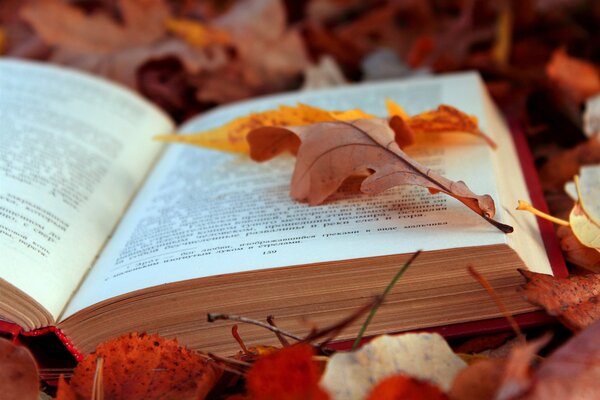 The book on autumn leaves is opened