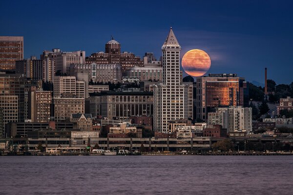 La dama de la noche de Seattle en el fondo de la Luna roja