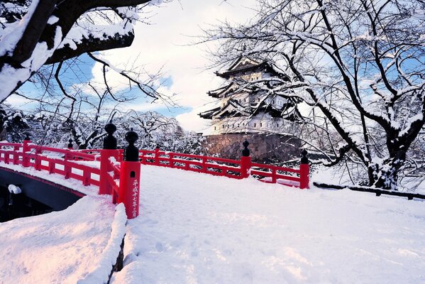 Verschneite Japan und Sakura Bäume