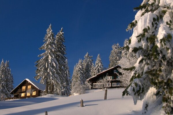 Cuento de invierno, una casa en un bosque cubierto de nieve