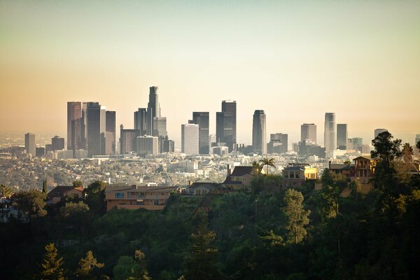 Usa città alberi California