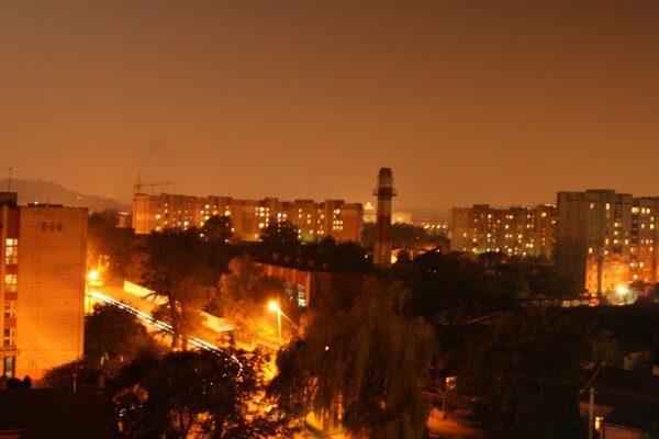 A night city with trees and a road