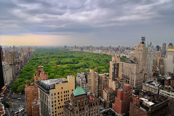 Imagen de rascacielos en la ciudad de nueva York