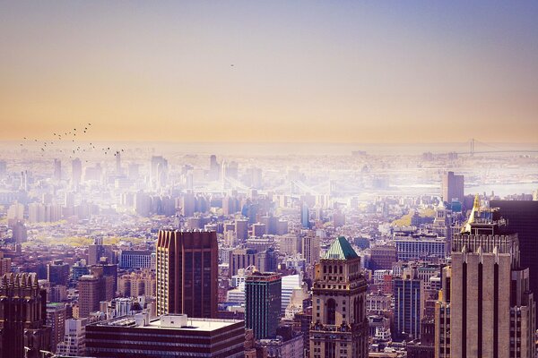 Frosty clouds over the city of dreams