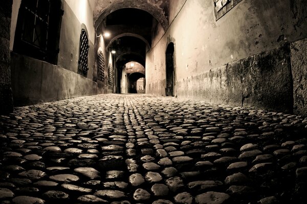 The night street of the city paved with cobblestones lit by lanterns