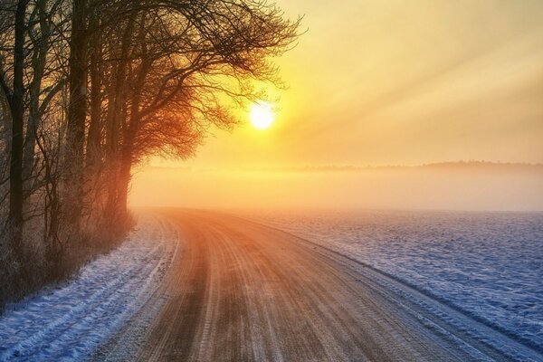 Camino nevado bajo los últimos rayos del sol