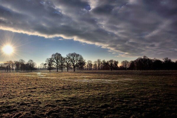 Eine Himmelsdecke, die das Feld bedeckt