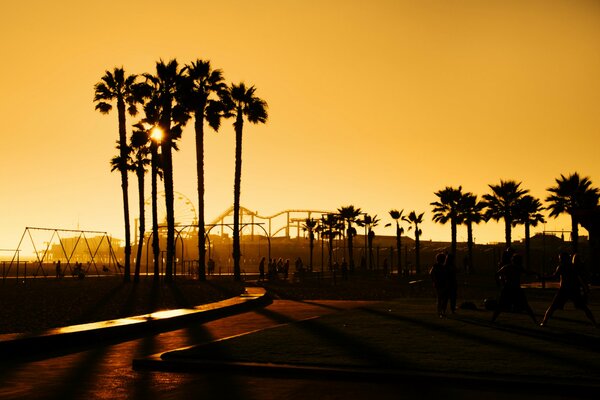 die USA. Palmen in Los Angeles bei Sonnenuntergang