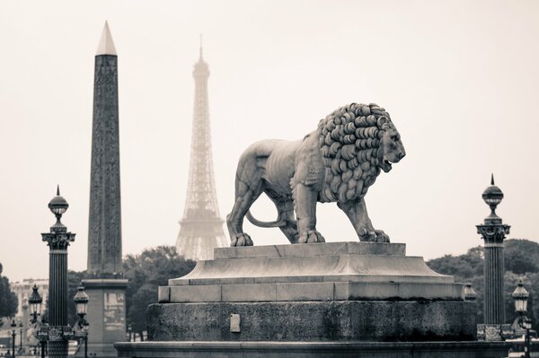 Stone Lion statue in Paris