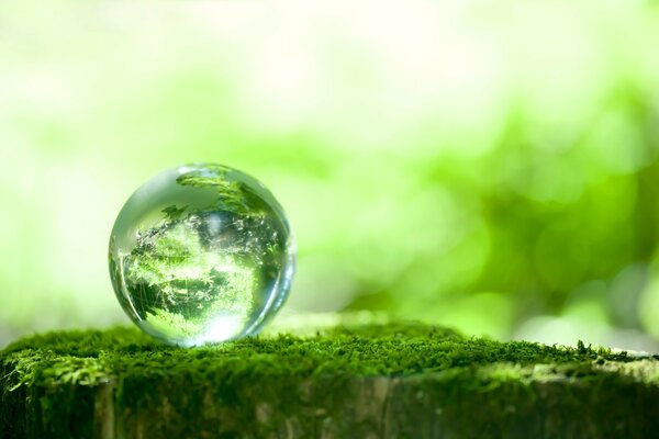 Macro shooting of a glass ball on green moss