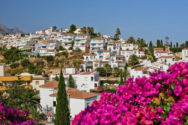 Paisaje español y flores