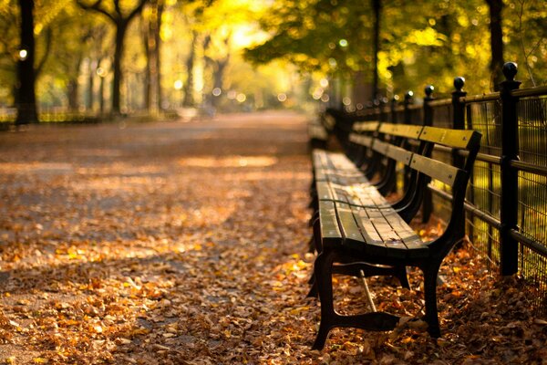 Central Park. Sonnenuntergang in New York