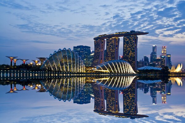 Reflejando en el agua la noche de Singapur en luces brillantes