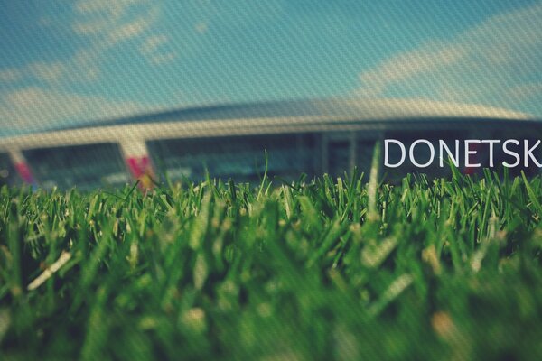 Photo of the arena on the background of green grass