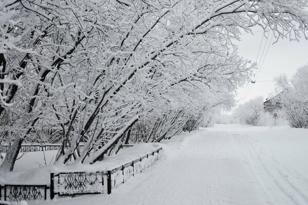 Inverno nevoso sulla strada della città