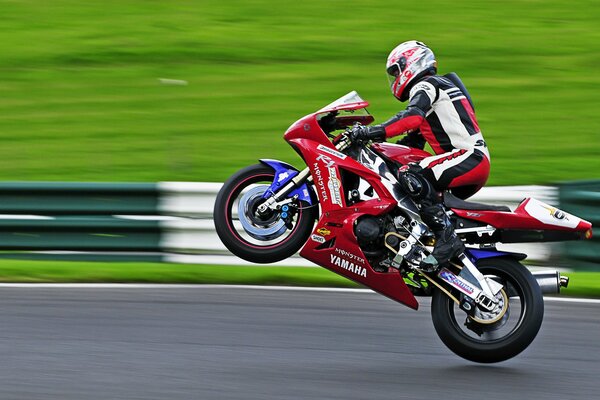 A motorcyclist rides on the back wheel