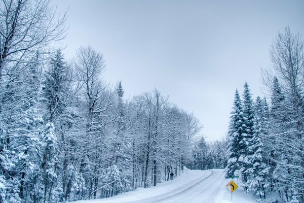 Strada invernale nuvolosa con brina sugli alberi