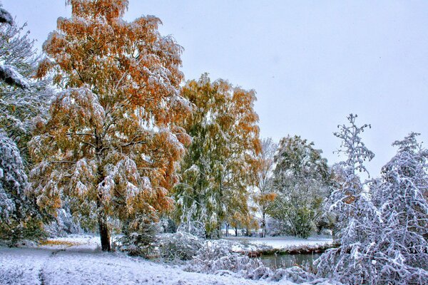 Bäume sind am Flussufer mit Schnee bestreut