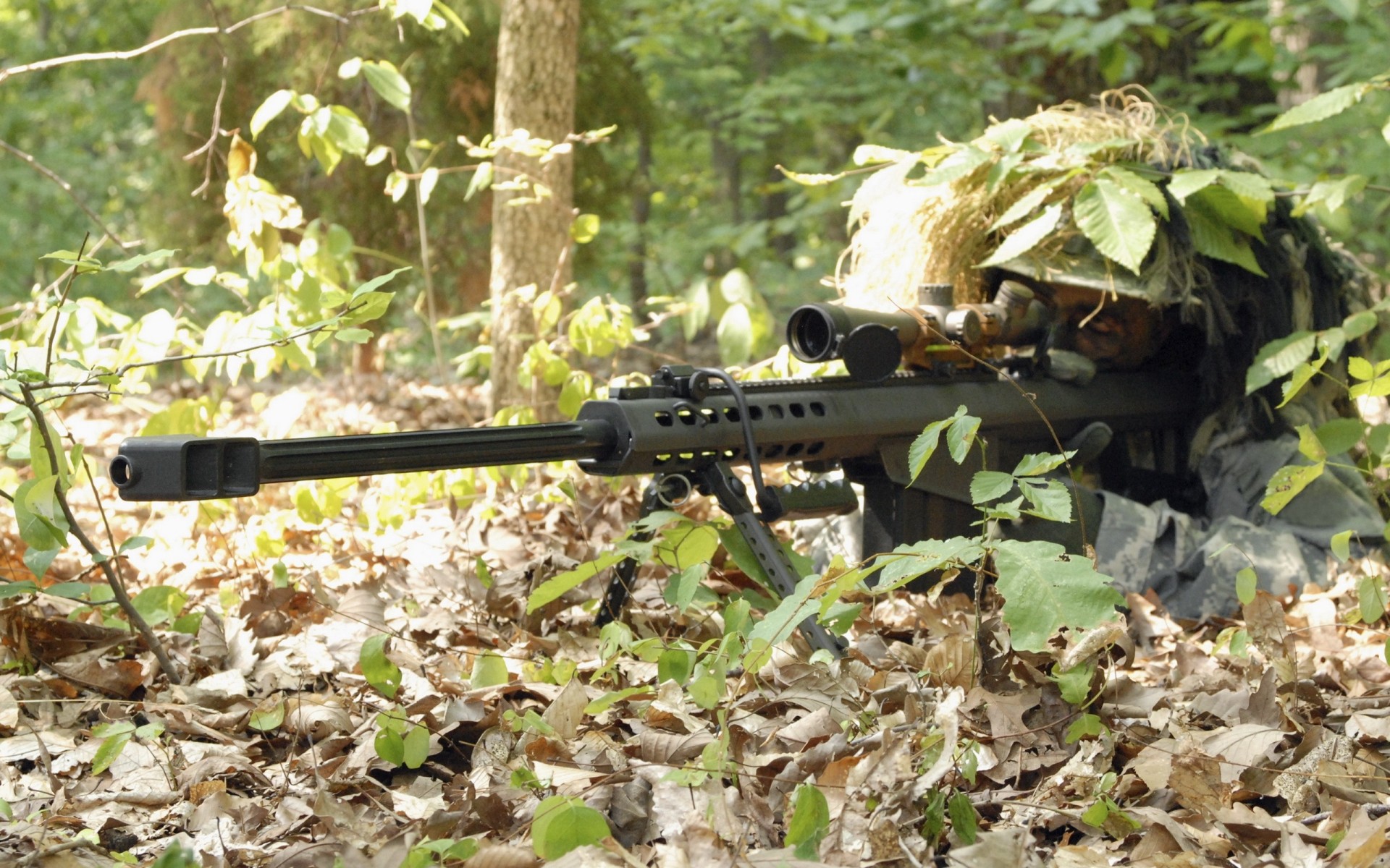 forêt militaire marvel