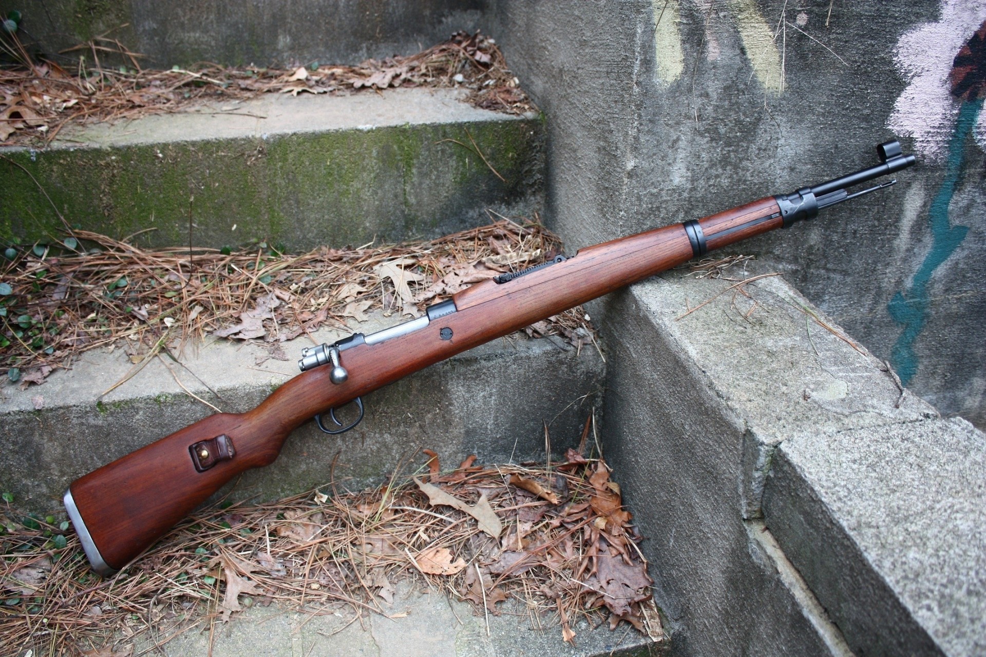 rifle hoja