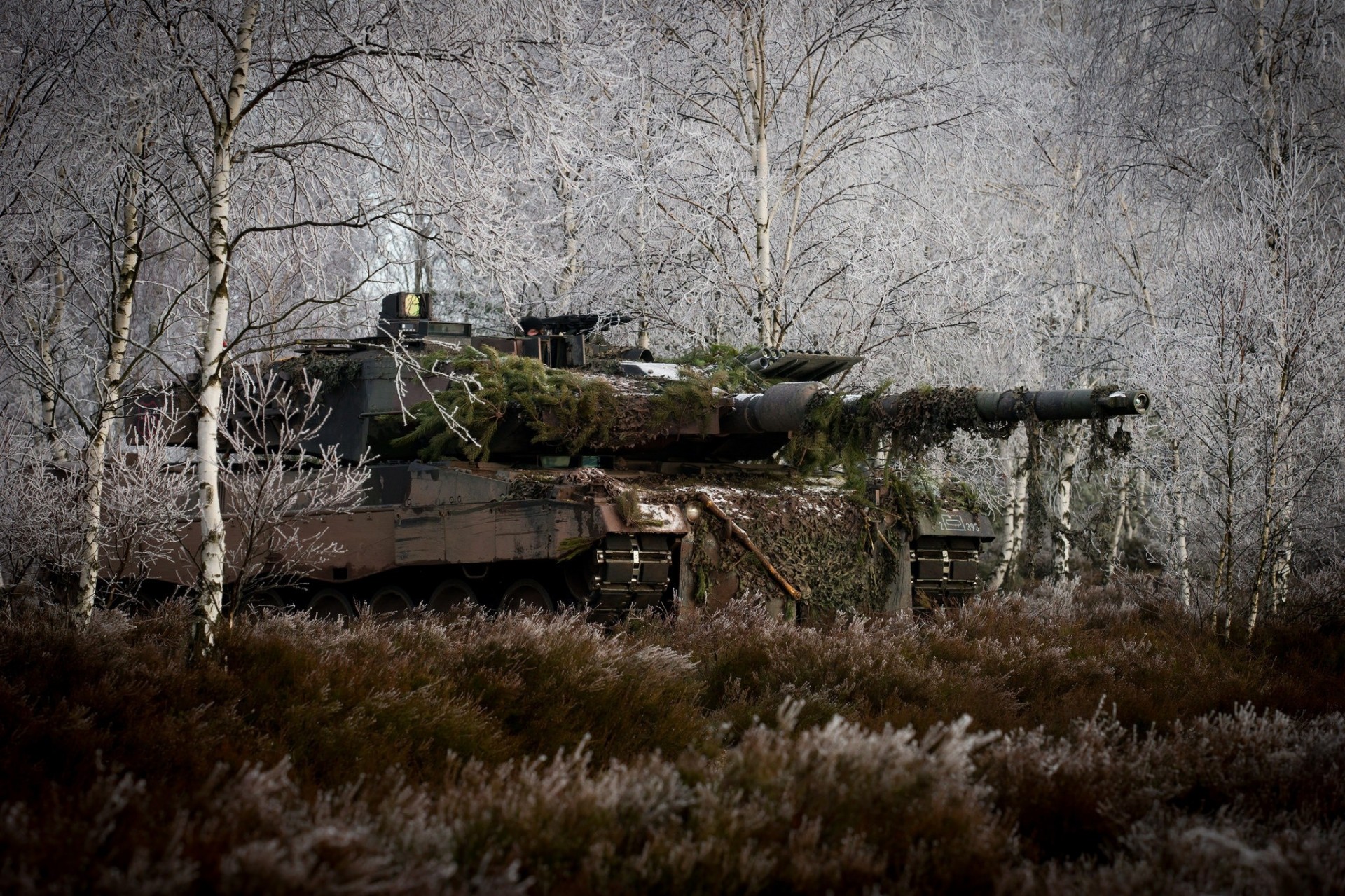 camouflage war tank