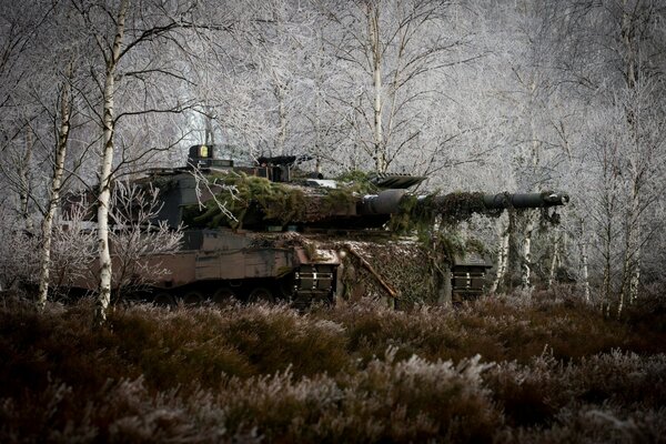 Verkleideter Tank im Herbstfuchs