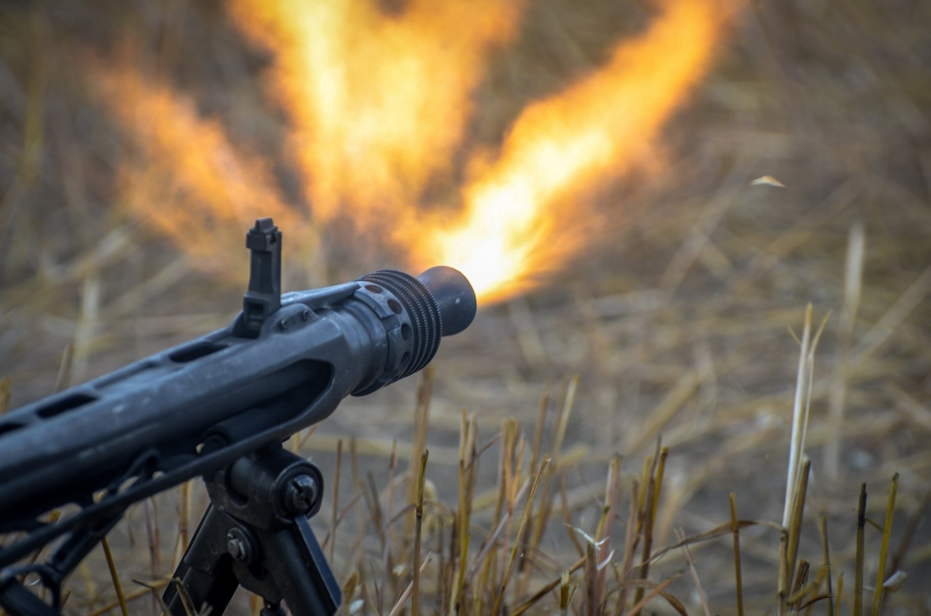 schießerei waffe gras feuer maschinengewehr flamme