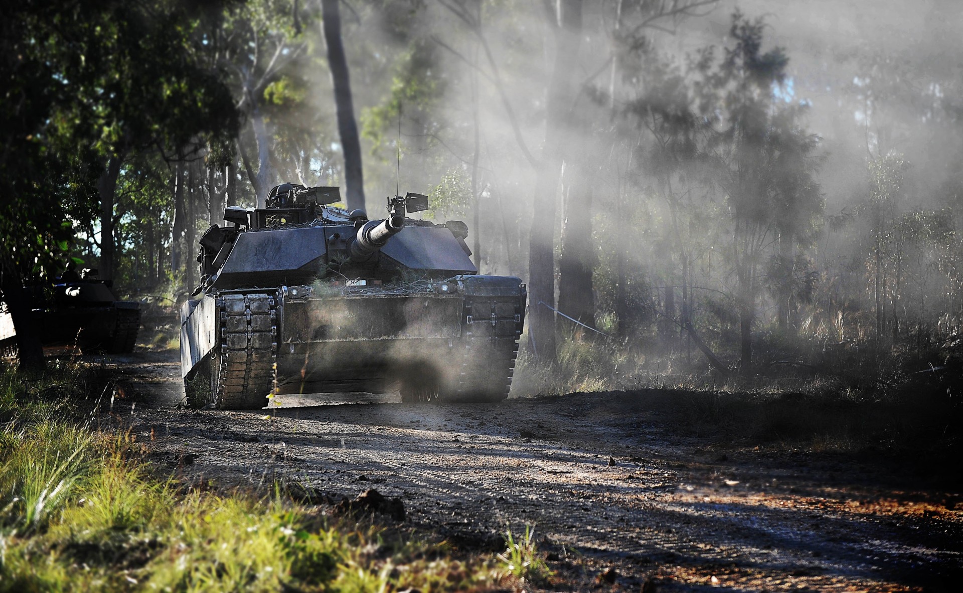 tanque ee.uu. bosque equipo militar