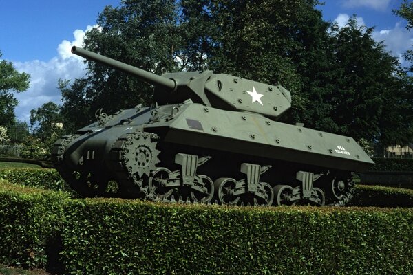 Tanque de infantería británico en la hierba