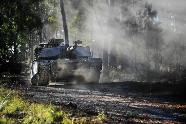 Militärische Ausrüstung bewegt sich durch den Wald