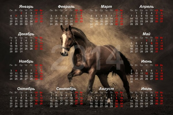 Calendario 2014 Anno del cavallo