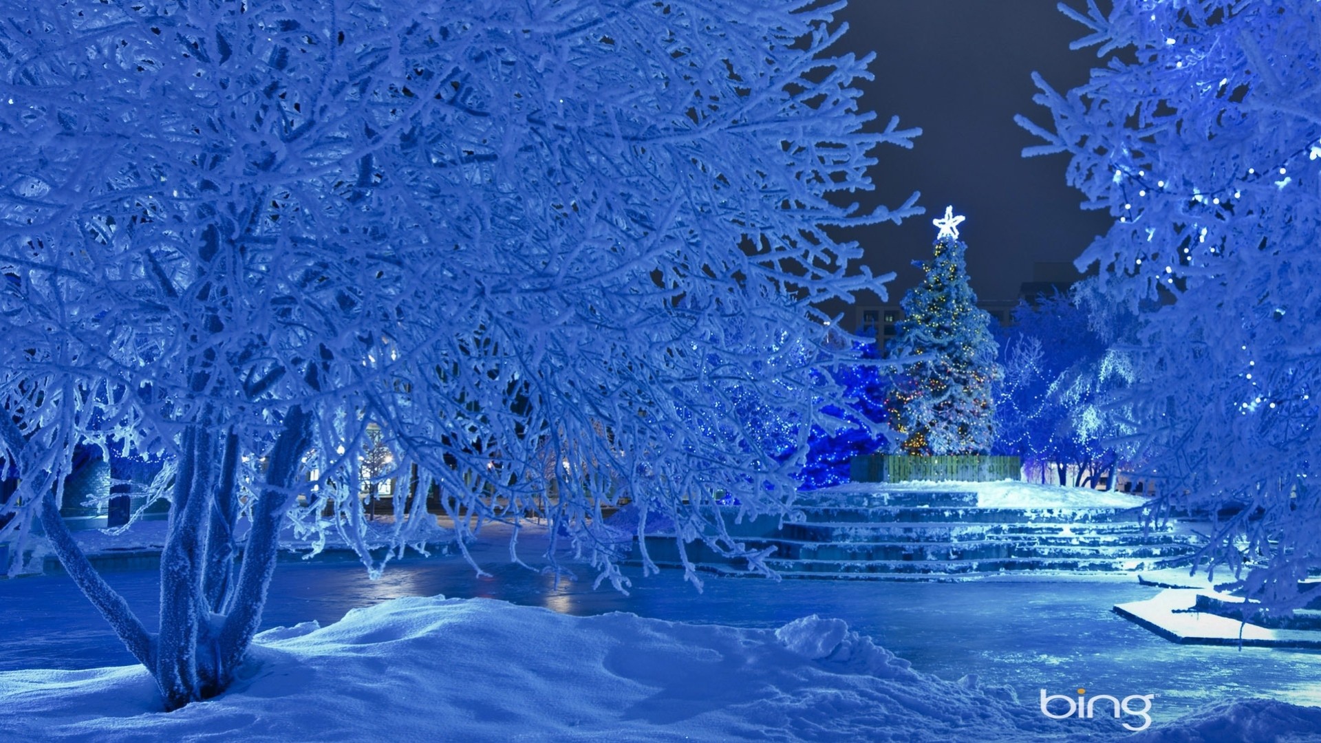 weihnachtsbaum schnee neujahr