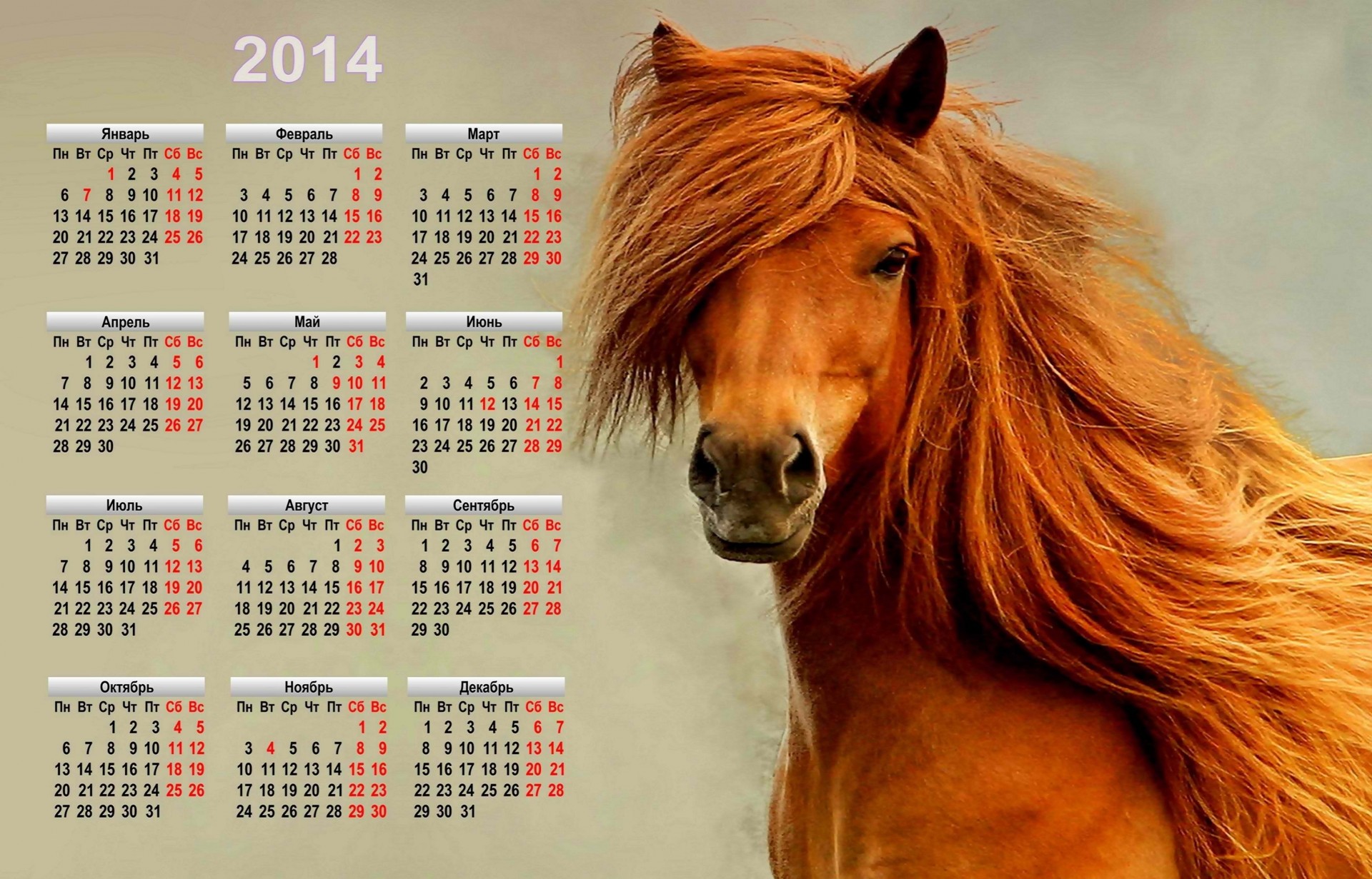 new year calendar holiday symbol horse 2014