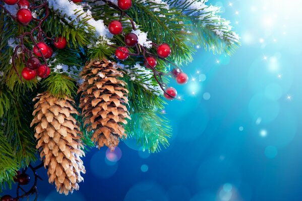 Fir branch with cones and toys on a blue background