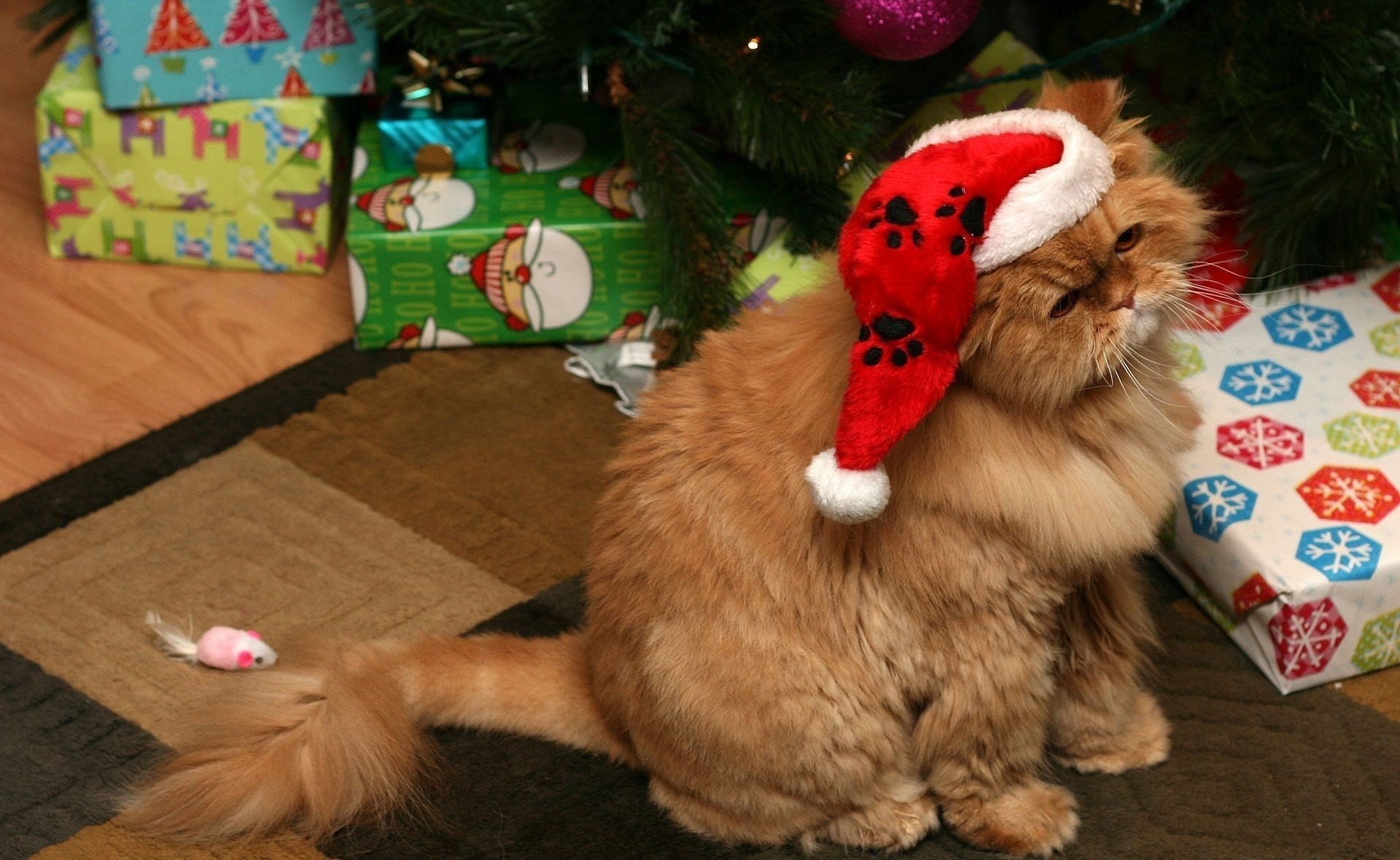 árbol de navidad belleza año nuevo ratones vacaciones gato juguetes caperucita roja de santa claus