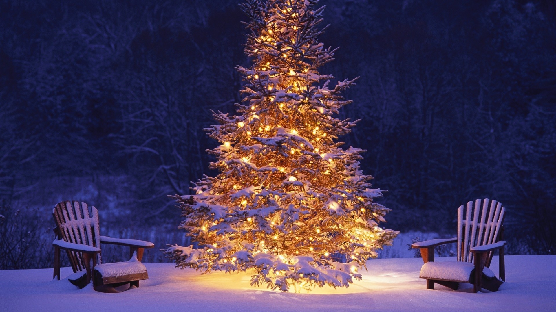 albero di natale luci natale capodanno neve sedia