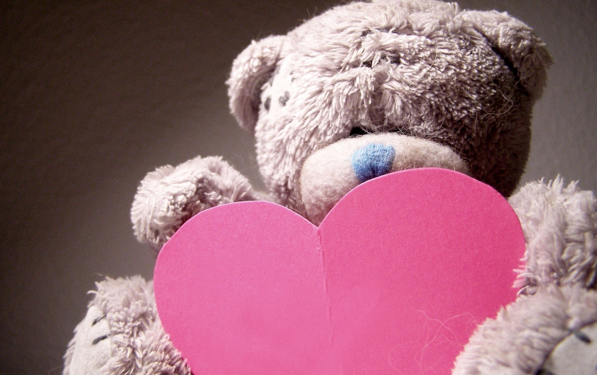 heart teddy bear teddy toy