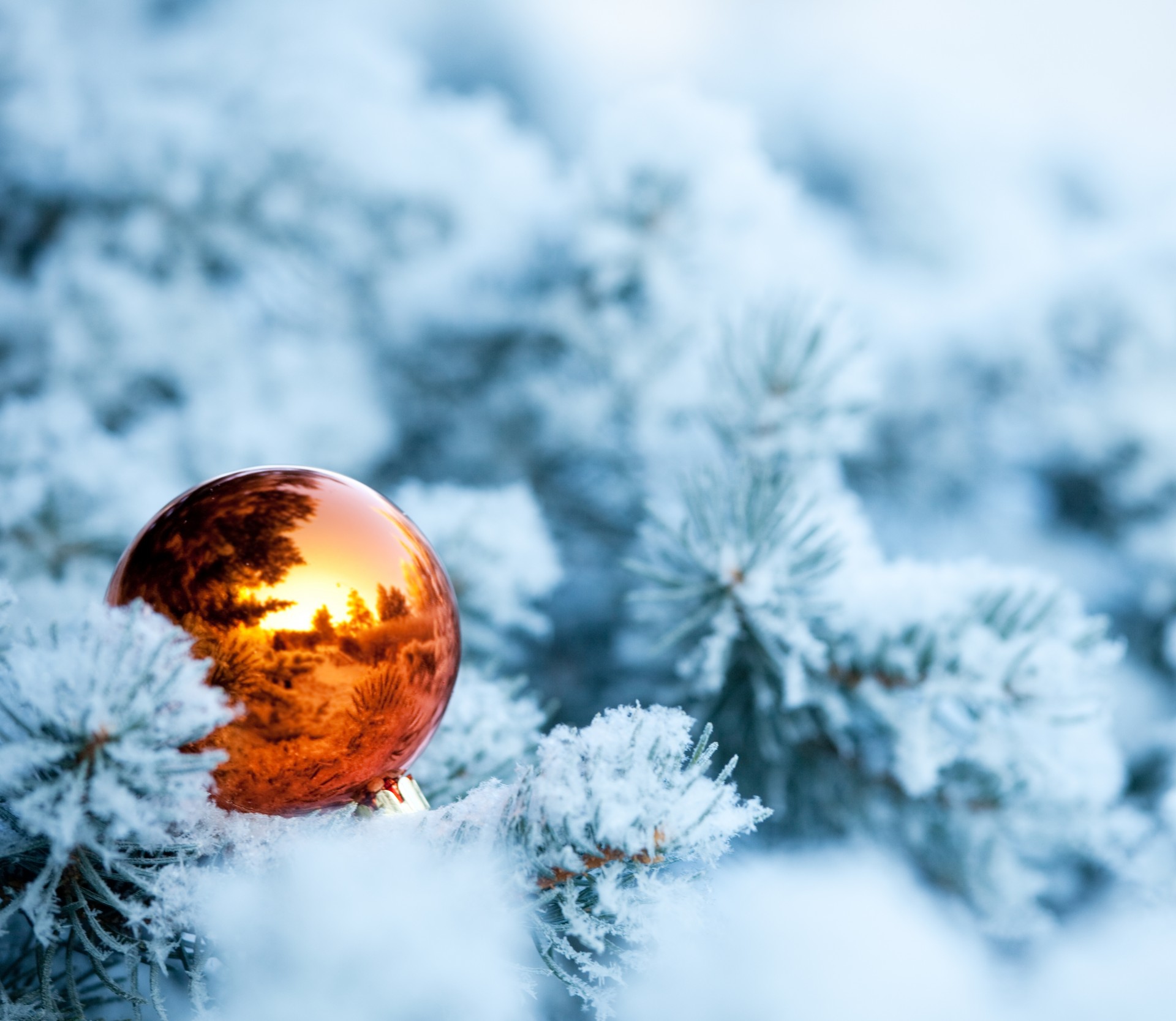 arbre de noël sapin boule neige branches hiver