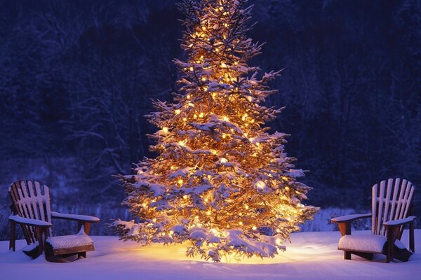 Christmas tree and chairs in the snow