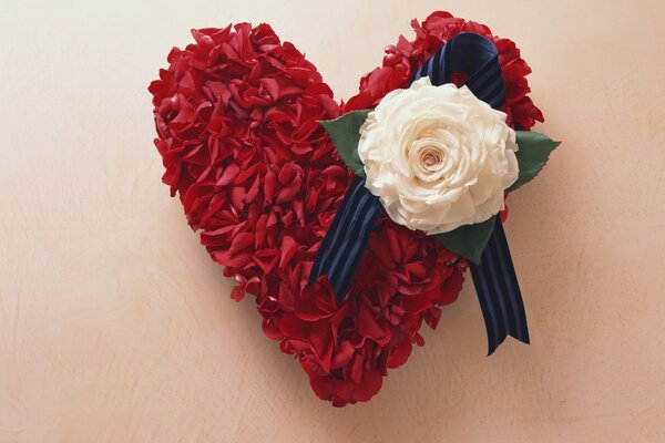 Red and white flowers on a beige background