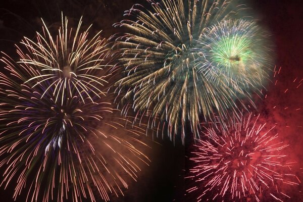 Fireworks against the dark sky