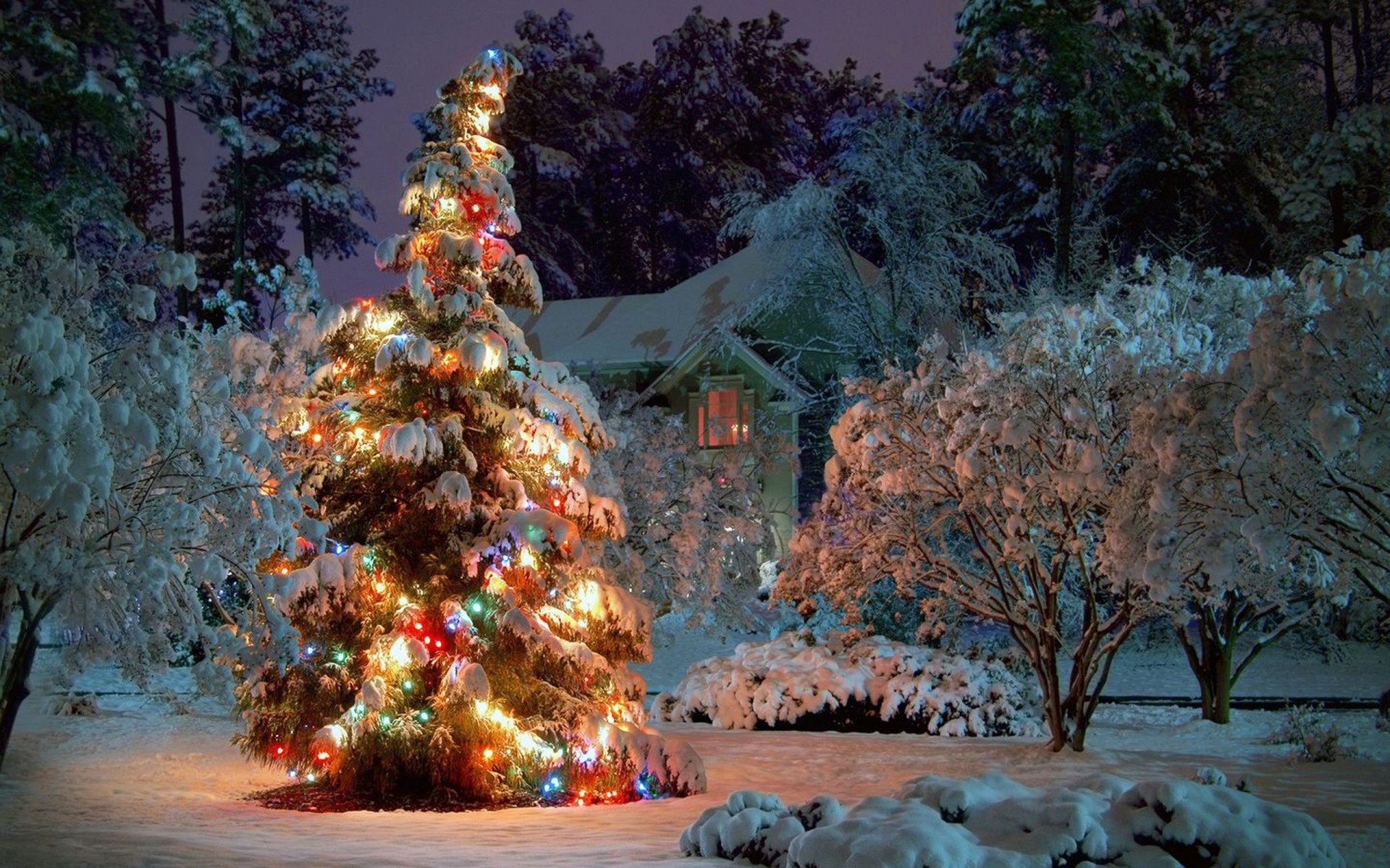 arbre de noël guirlande neige maison nouvel an