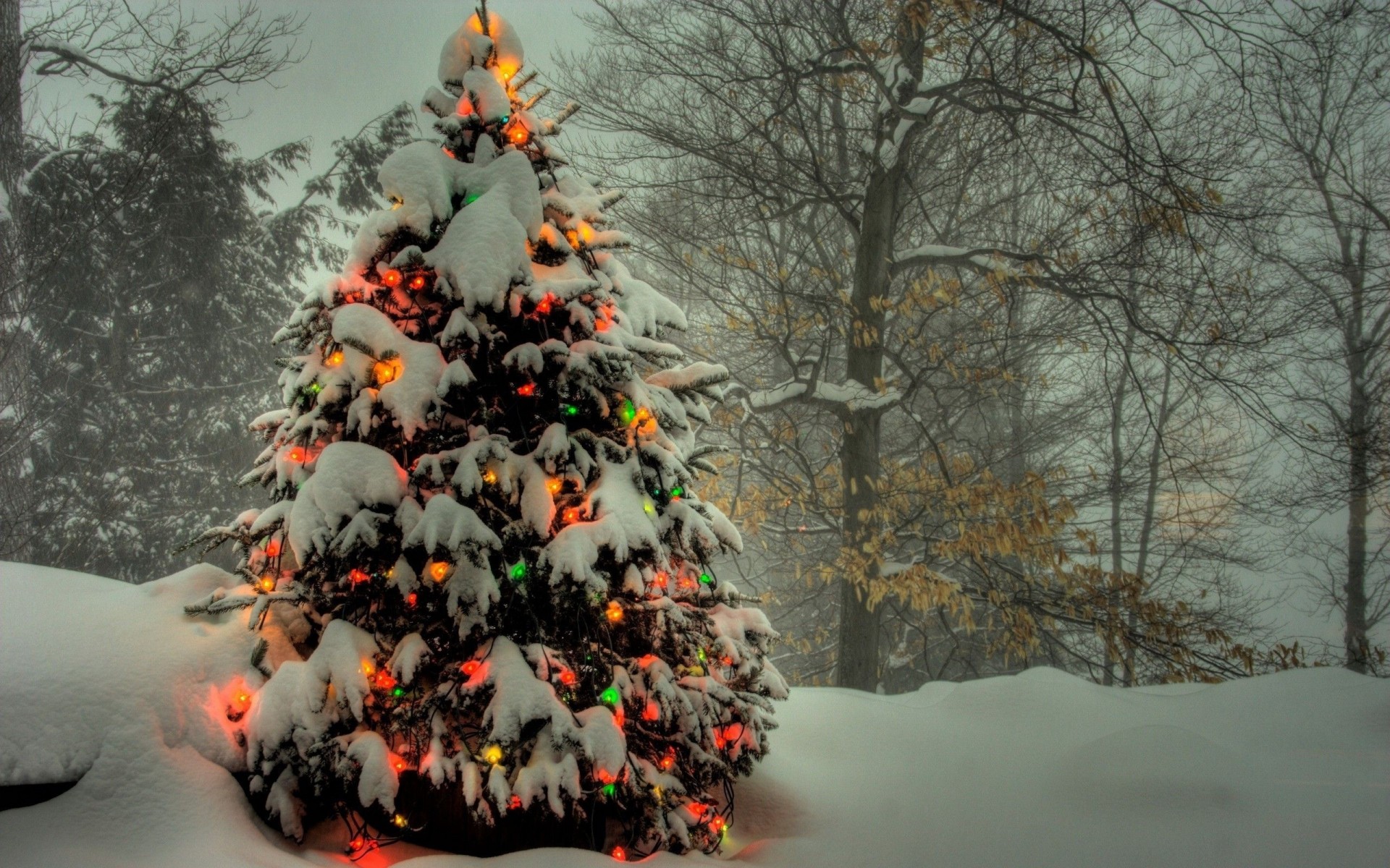 weihnachtsbaum lichter weihnachten neujahr urlaub wald girlande schnee