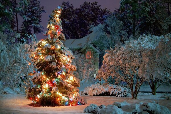 Christmas tree with garlands