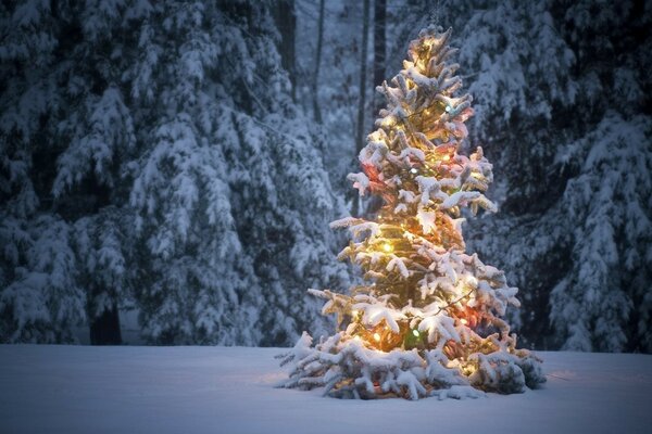 Árbol de Navidad adornado con guirnaldas en el bosque de invierno