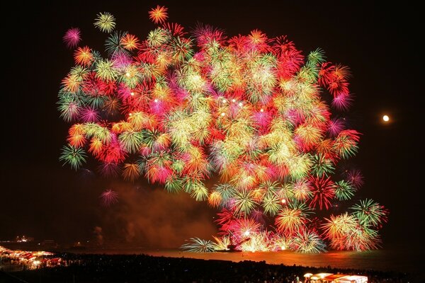 Multicolored fireworks in the night sky