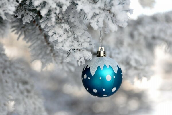 Boule de Noël sur une branche d épinette enneigée