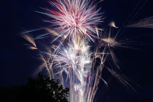 A bright firework lit up the night sky